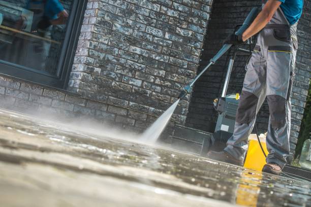 Best Roof Washing  in Winnebago, MN