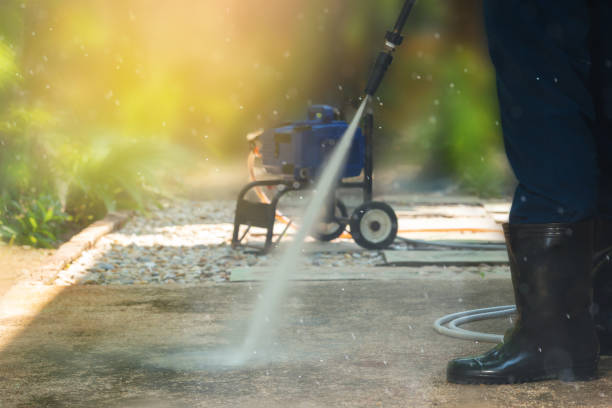 Best Graffiti Removal  in Winnebago, MN